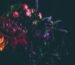 shallow focus photography of flowers