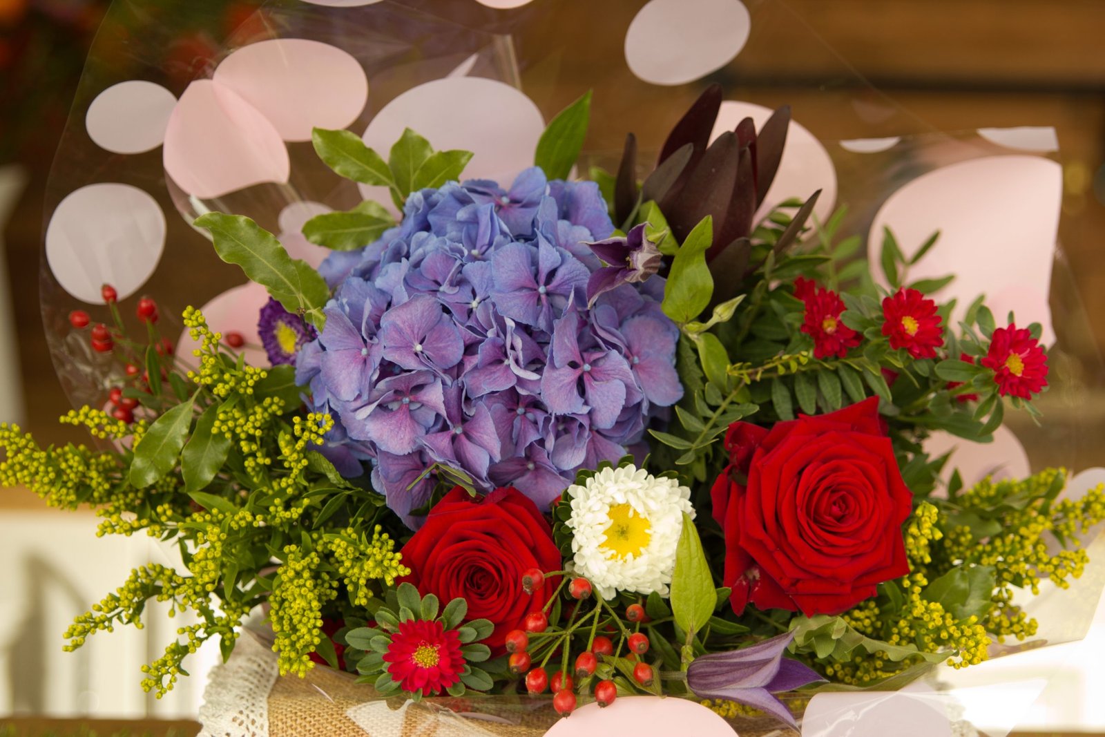 Bright Futures - Image 2